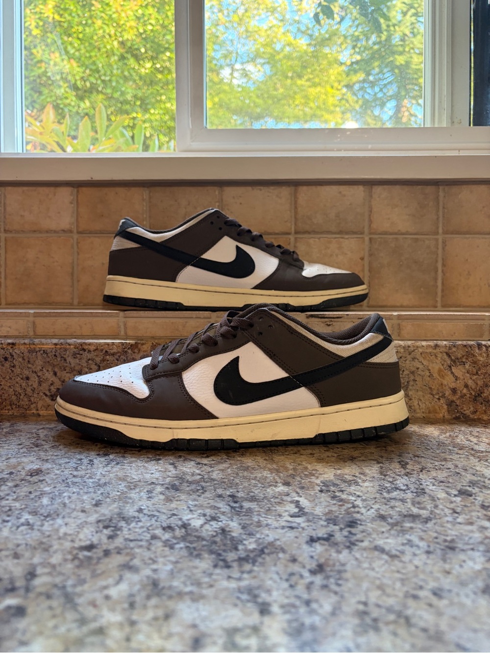 Nike Dunk Low Nature Baroque Brown